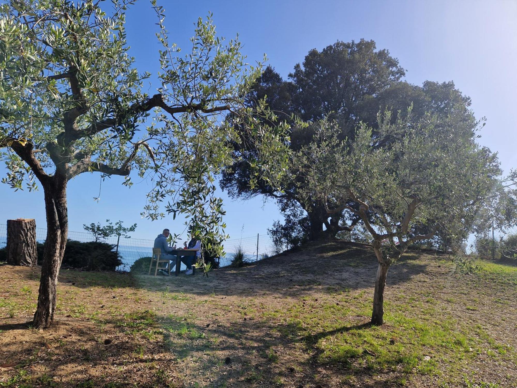 Eteras Verrusio Art Torino di Sangro Esterno foto